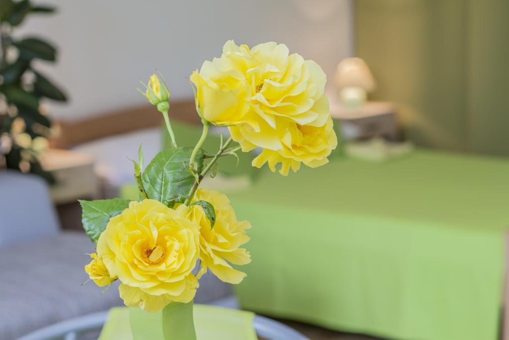 Pula Istria Apartments Luaran gambar